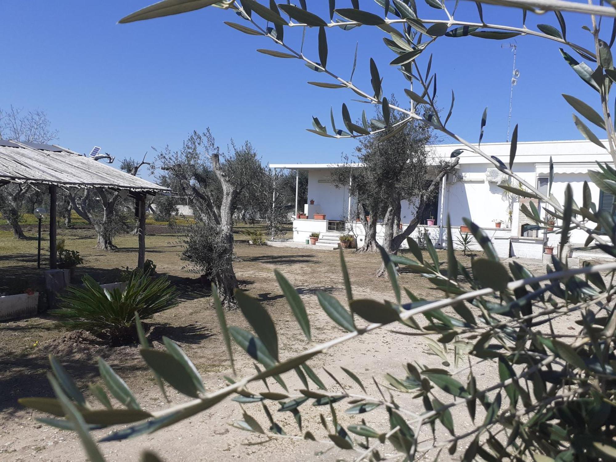 Casa Vacanza Fiorella Torre dell'Orso Habitación foto